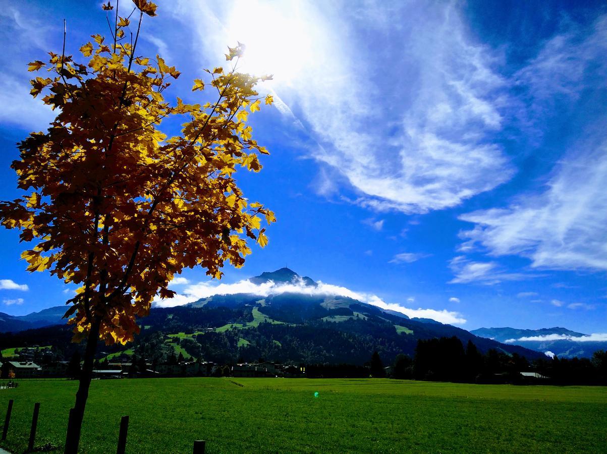 Appartement Rosa St. Johann in Tirol Kültér fotó
